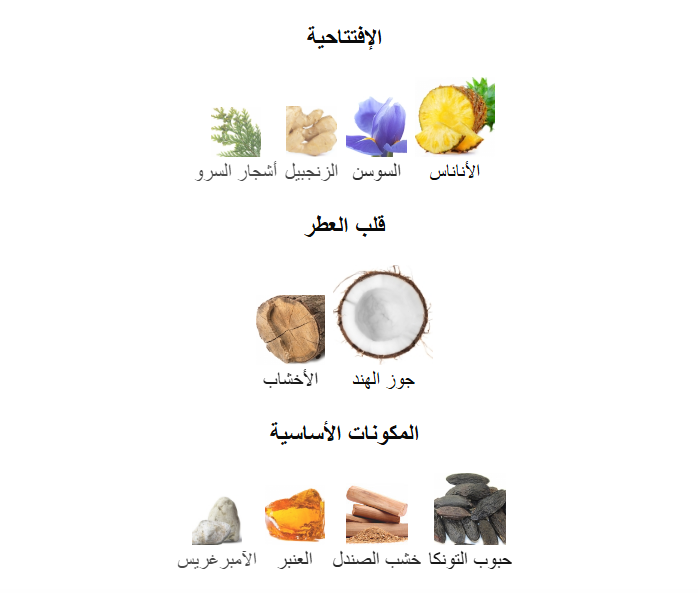 Le Beau Le Parfum – Jean Paul Gaultier