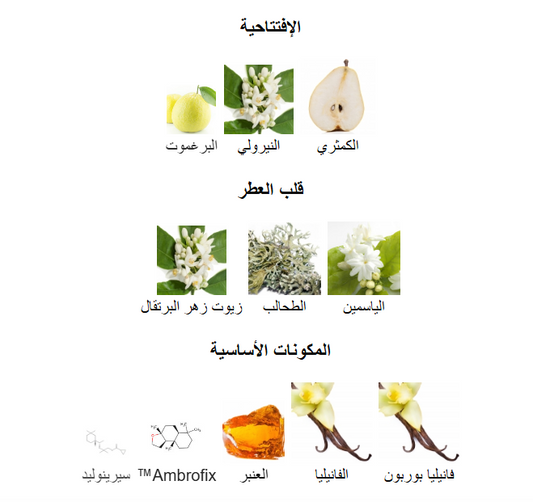 Prada Paradoxe Intense