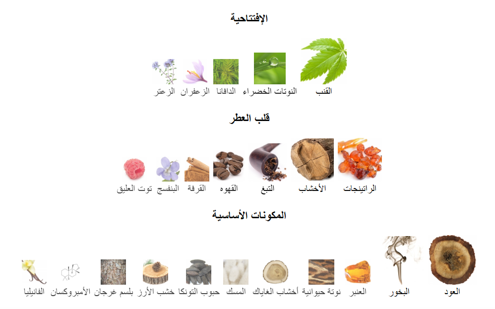 Black Afgano – Nasomatto | 30 ml