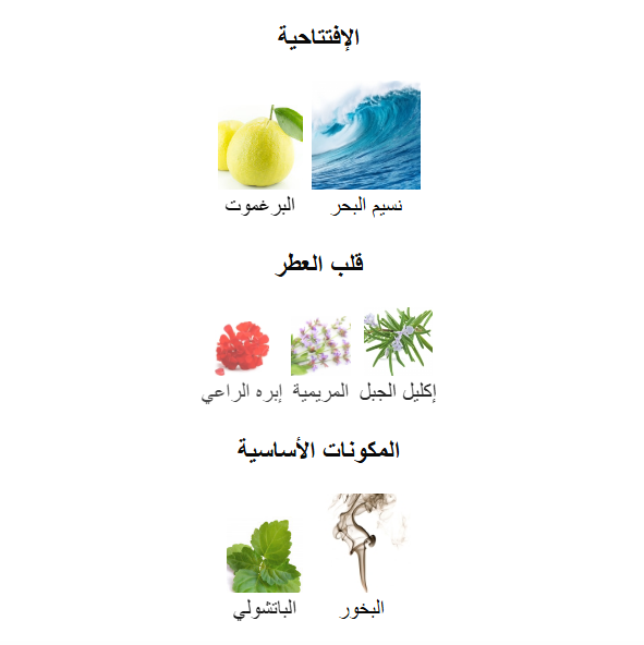 Acqua di Giò Profumo - Black