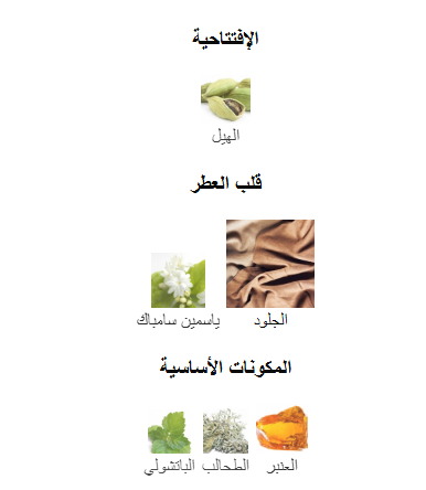 Ombré Leather – Tom Ford