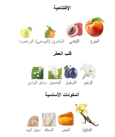 The One – Dolce & Gabbana | 100 ml