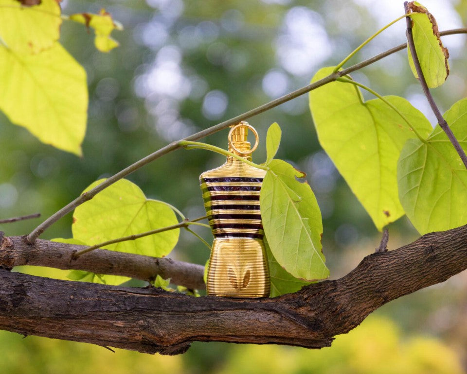 Le Male Elixir - 100 ml