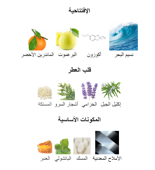 Acqua di Giò Profondo