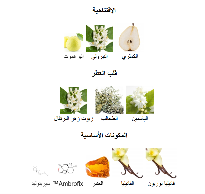 Prada Paradoxe Intense