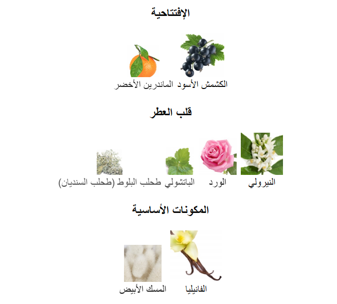 Si Fiori – Giorgio Armani