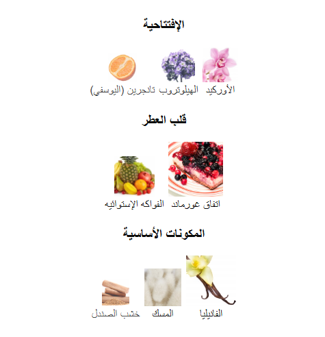 Yara – Lattafa Perfume | 100 ml