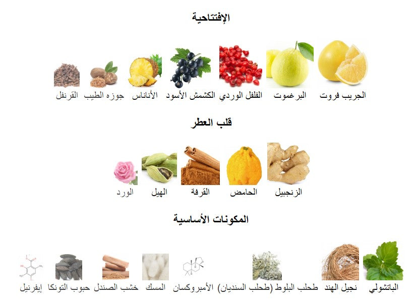 Creed Absolu Aventus - 100 ml