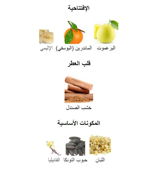 Sauvage Parfum - 100 ml