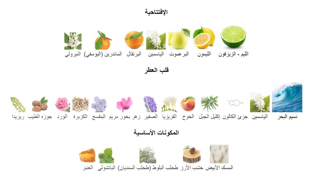 Acqua di Gio - 100 ml