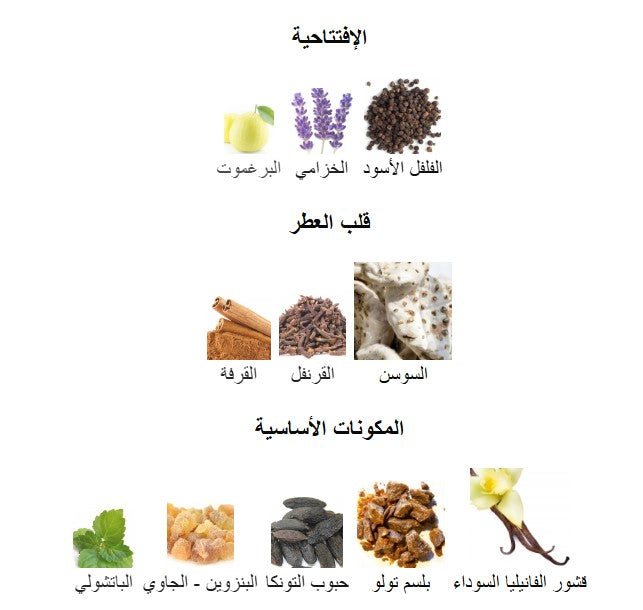 Gentleman Eau de Parfum - 100 ml